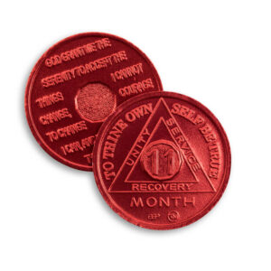 11 Month AA Chip