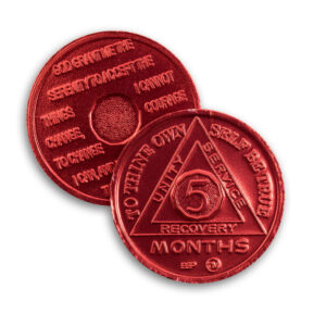 5 Month AA Chip