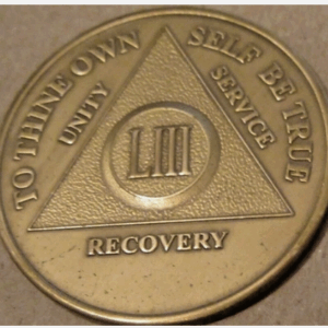 53 Year AA Chip